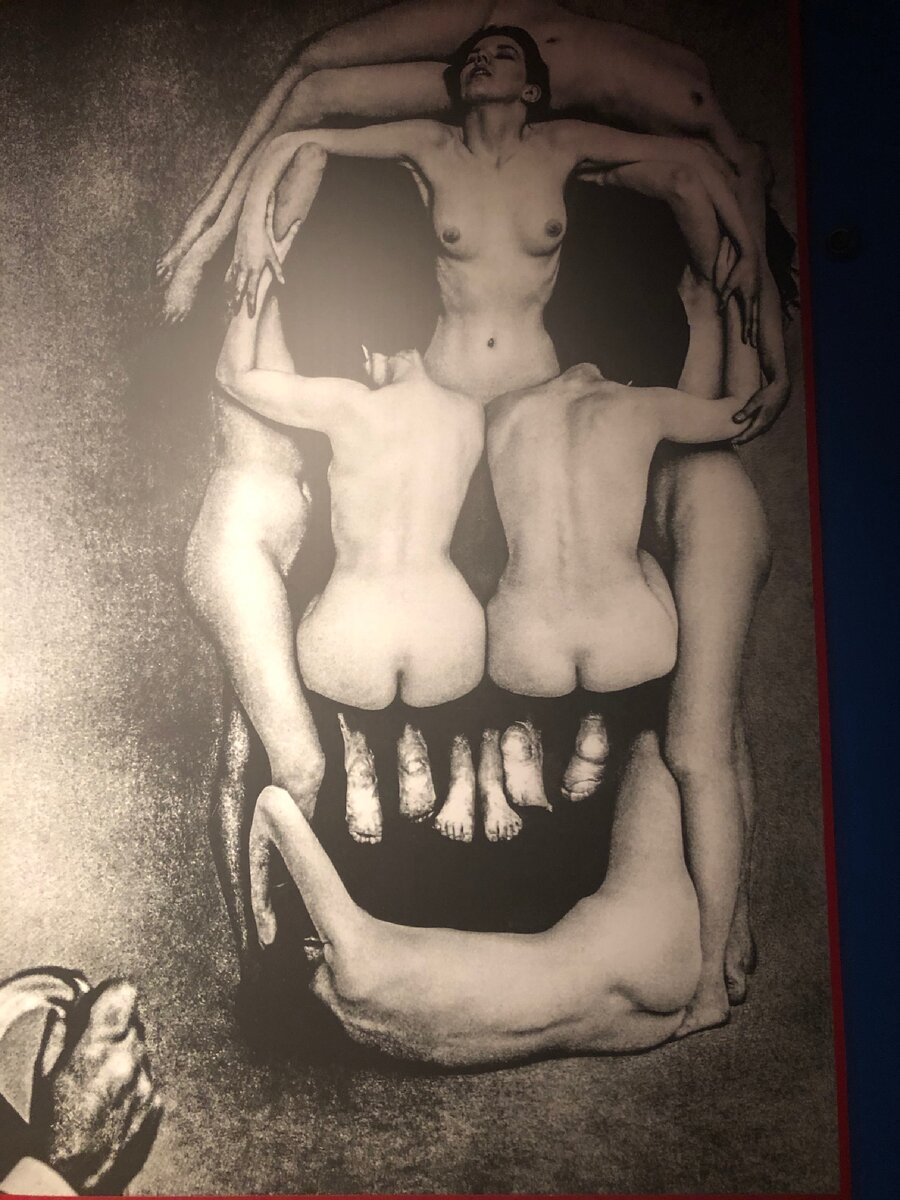 Череп из женщин