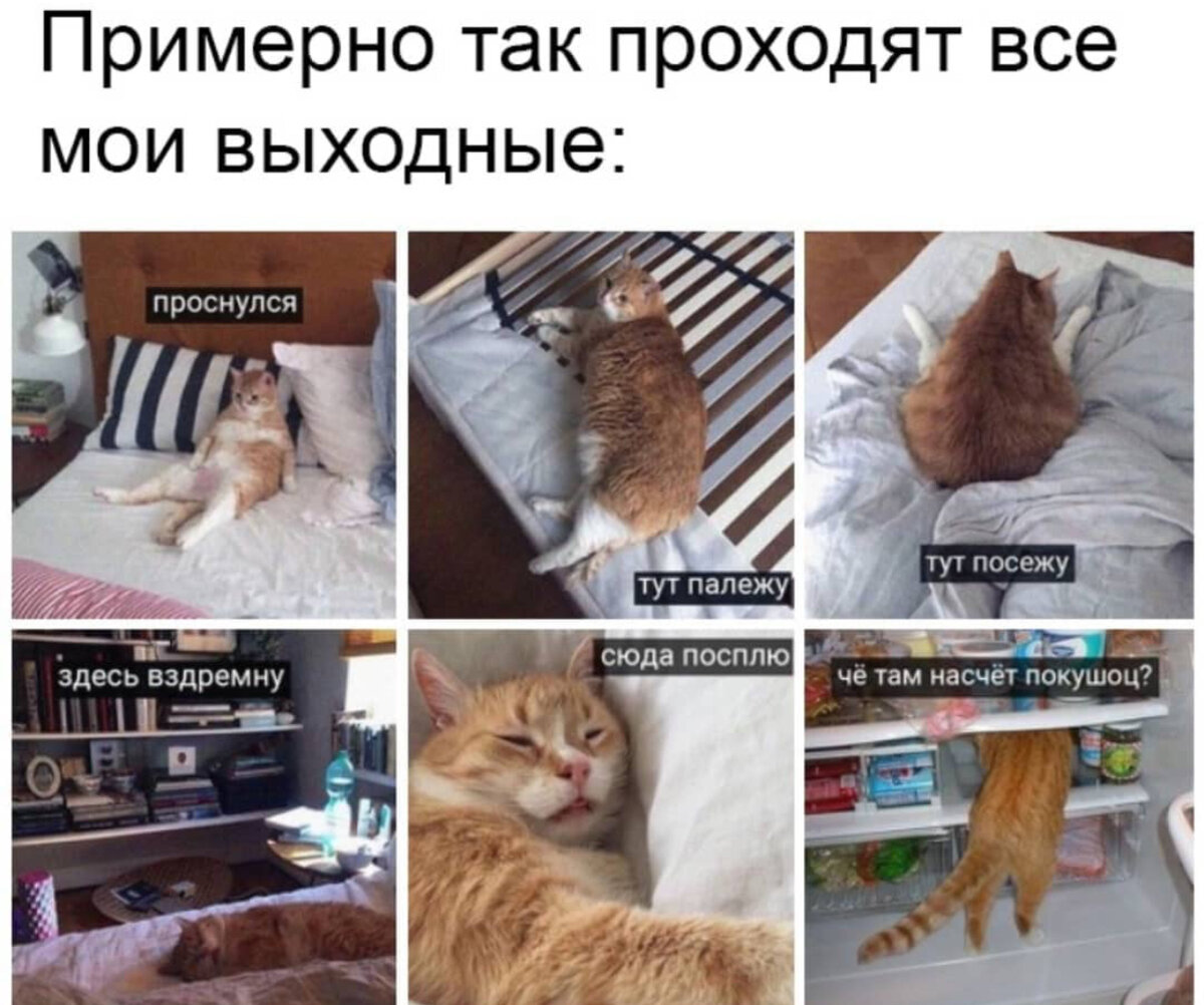 Выходной оффтоп