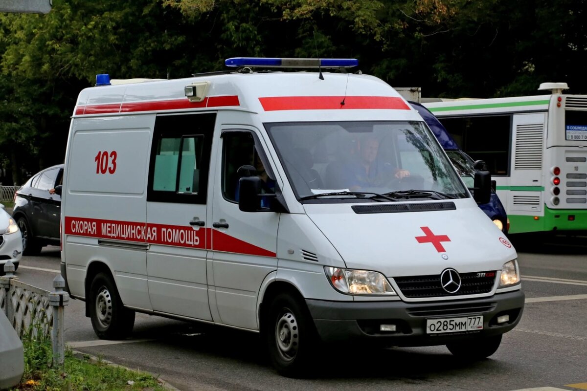 фото из интернета для иллюстрации