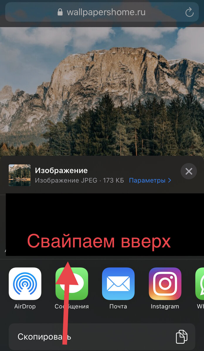 Как легко установить понравившуюся картинку с интернета на обои на  IPhone😉. | Сергей Болотов | Дзен