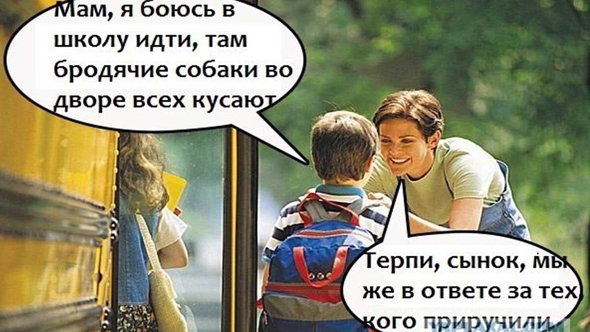бойтесь ходят