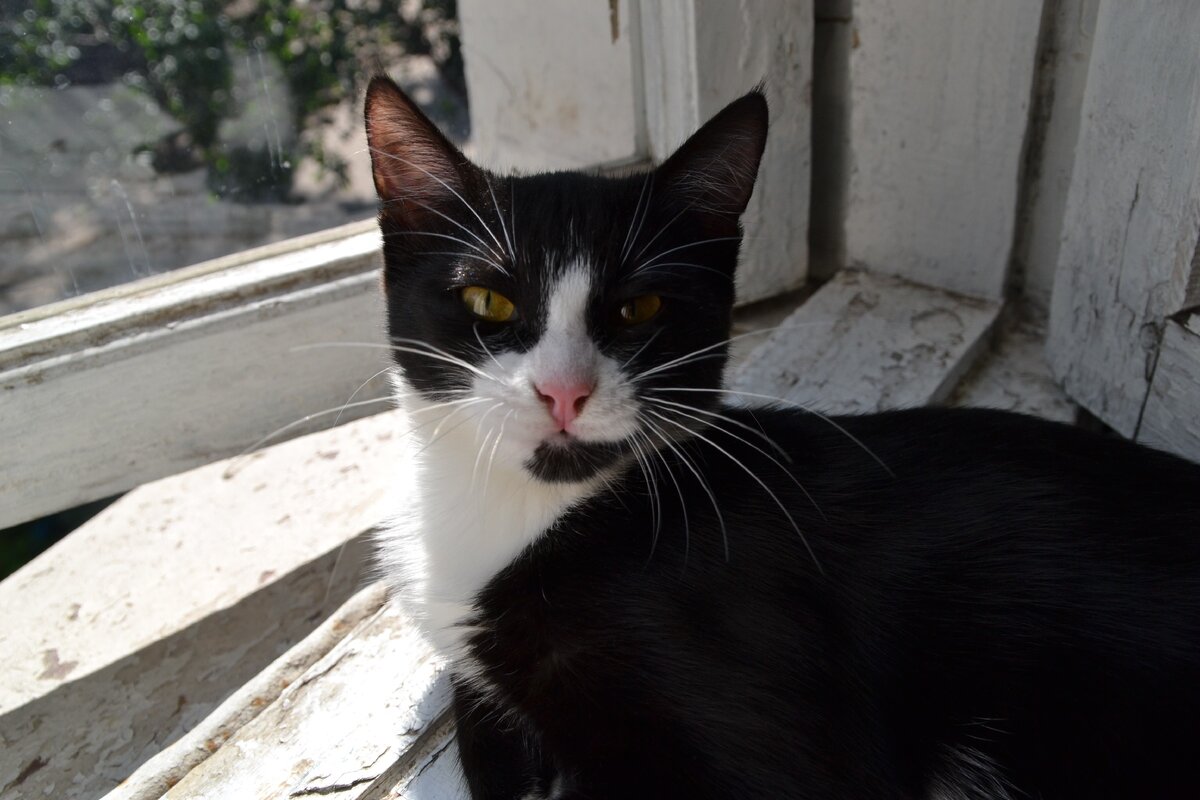 Буся - настоящая революционерка 