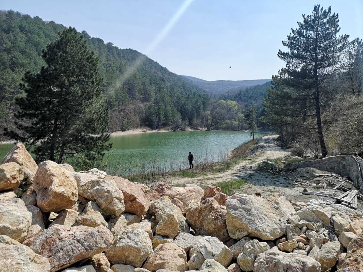 В Севастополе появляются частные леса и озера | ForPost. Лучшее | Дзен