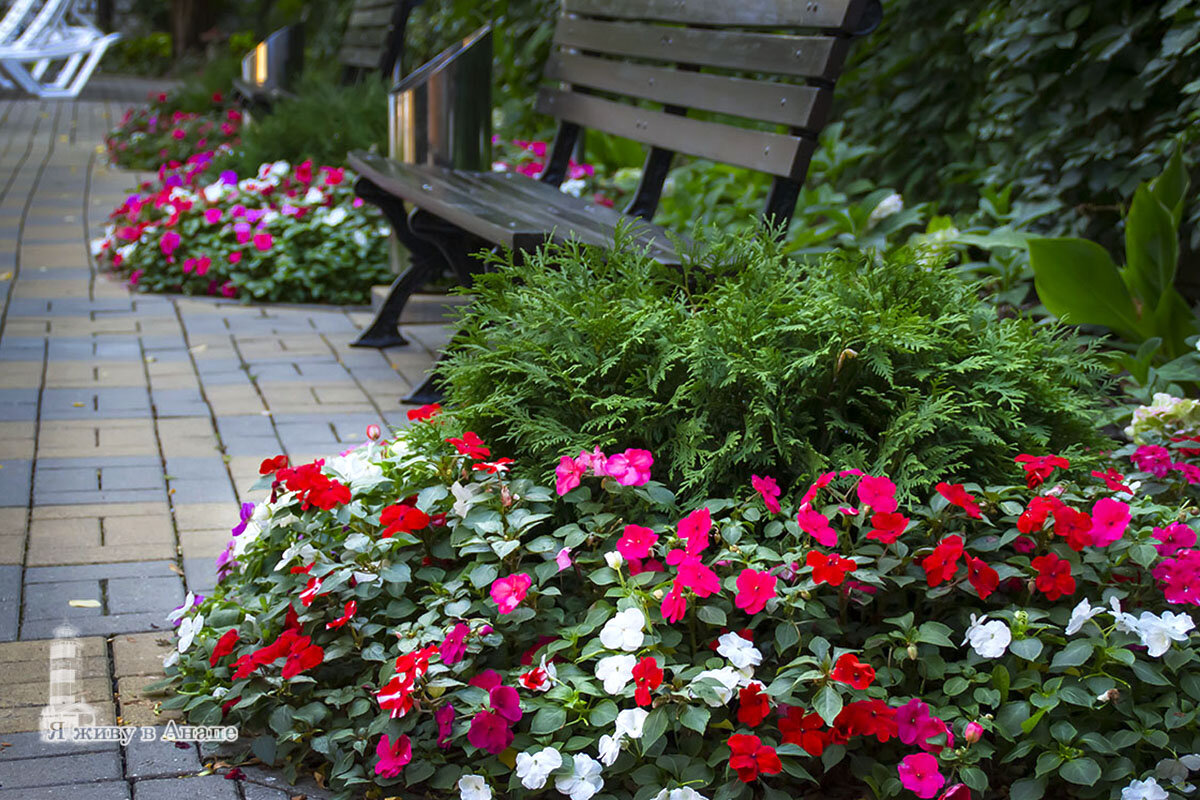 В прошлом году