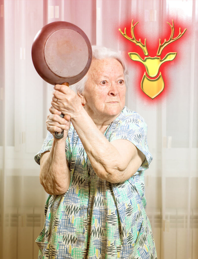 фото из открытых источников Яндекса