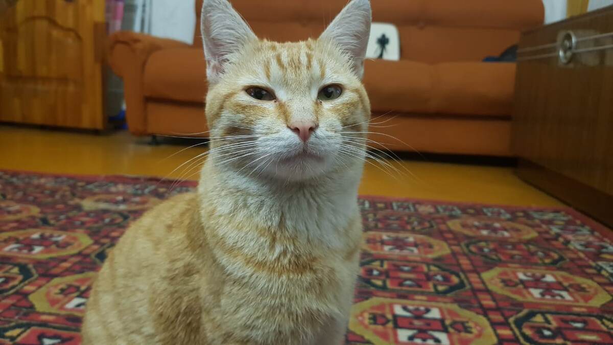 Личное фото, использование запрещено