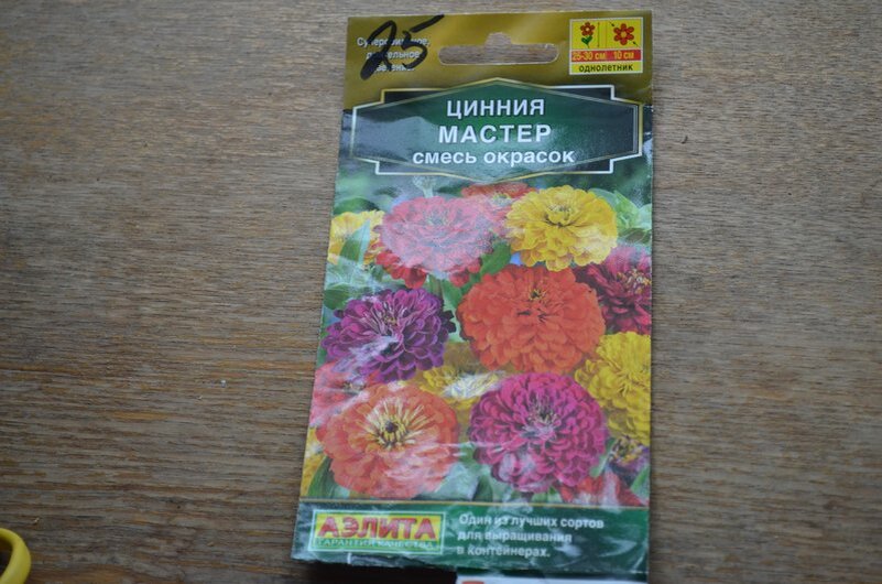 Вот такие сорта циннии.