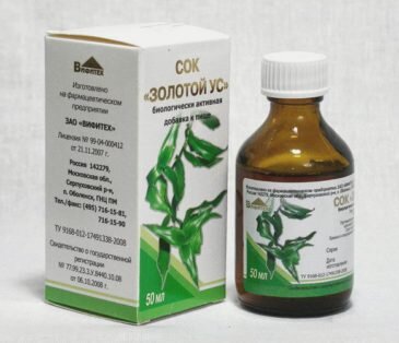 Лекарственные формы золотого уса можно купить в аптеке или сделать самостоятельно.