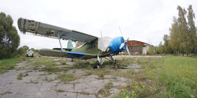 Охраняемость:незначительная