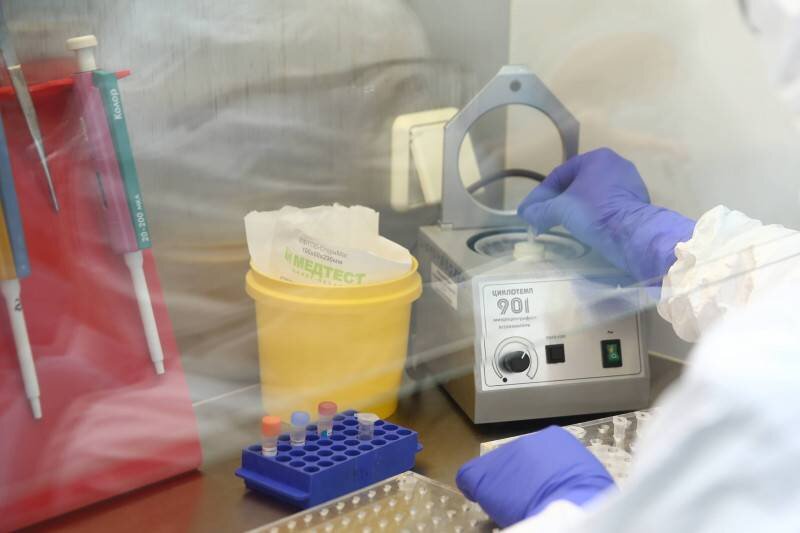 Фото: Данил Колосов / КРАСНЫЙ СЕВЕР