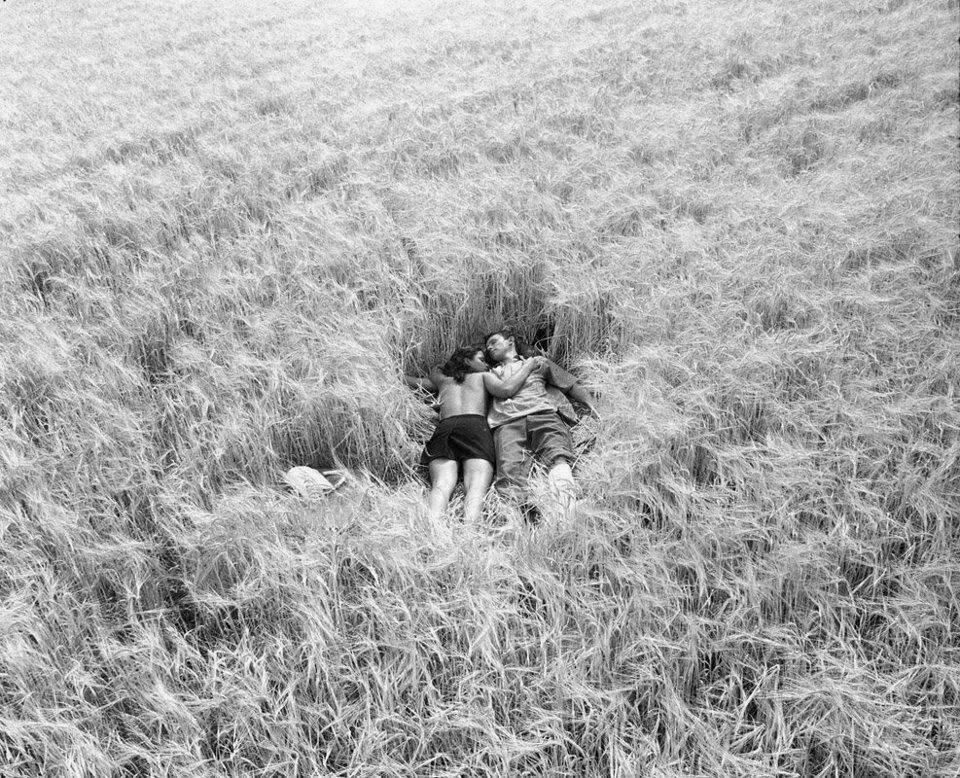 можно ехать в отпyск, на природy...шашлыки?