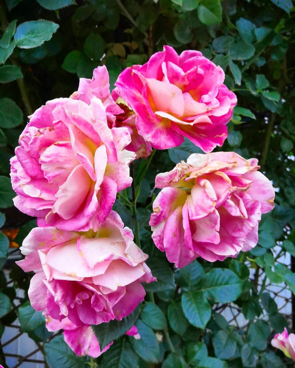 В природе всё циклично, как и в нашем внутреннем мире. Фото автора 