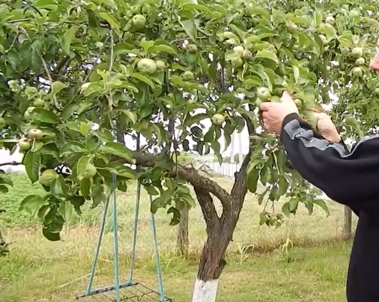 Фото из личного архива автора