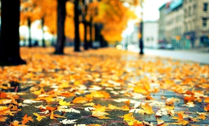 Фото-иллюстрация из открытого доступа