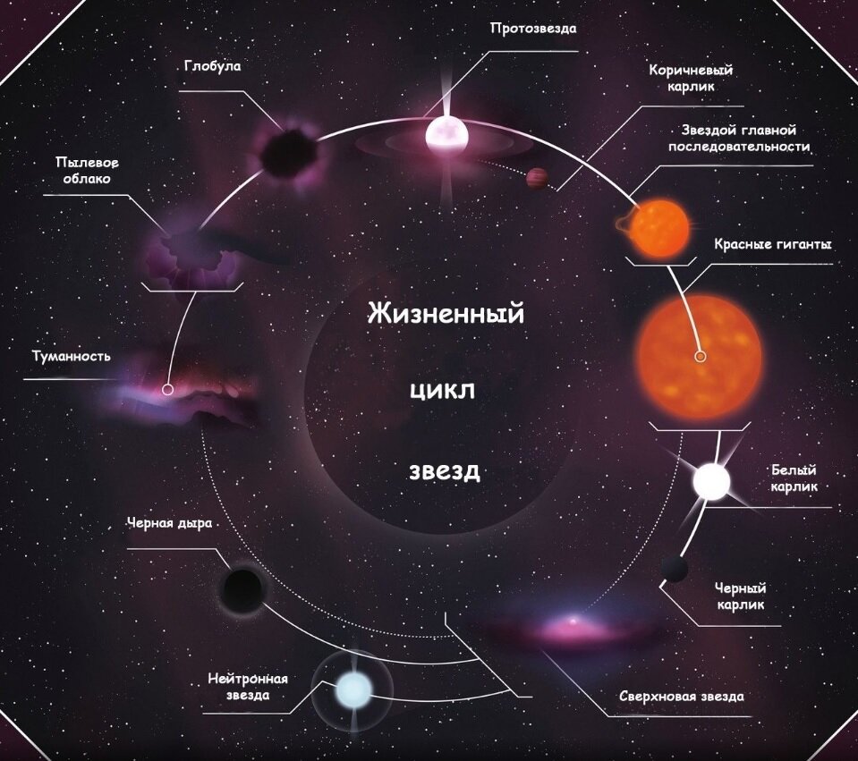 Отметьте на диаграмме области где расположены красные гиганты белые карлики сверхгиганты