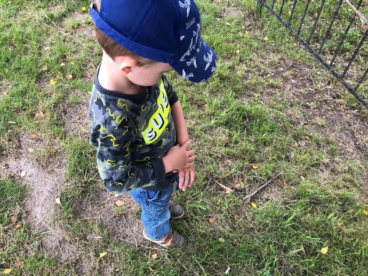 Кусают всех!