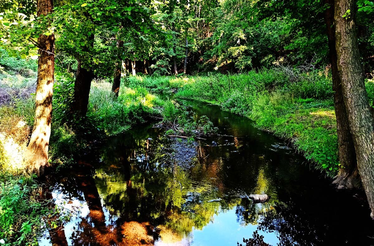 Брестовачка баня