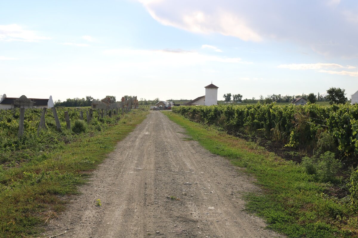 Юровка анапский краснодарский край