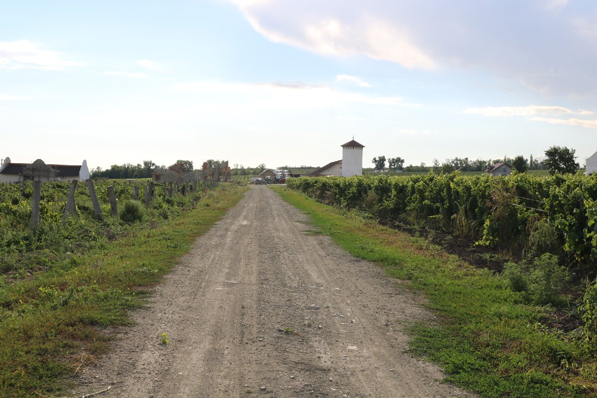юровка краснодарский край фото. погода в юровке анапского на неделю. селор юровк а анапский район. юровка саратовская область. село юровка анапский район достопримечательности.