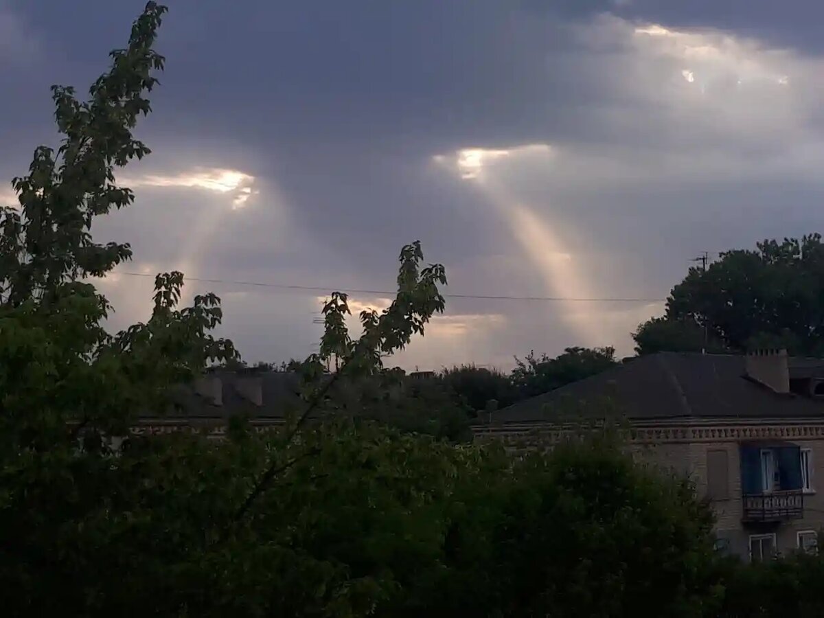 Утренний взгляд