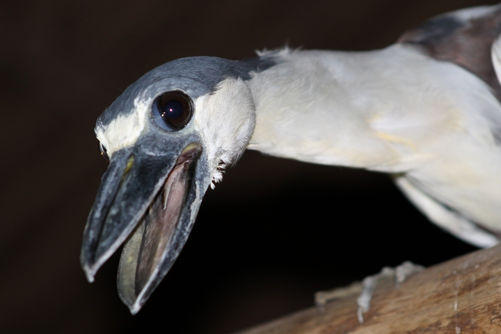 Когда пошутил просто невероятно тупую шутку, все вокруг смотрят на тебя как на идиота, но ты не можешь перестать смеяться.