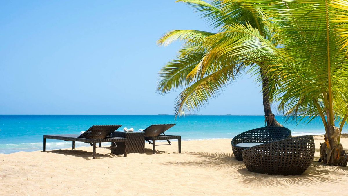 источник: Яндекс