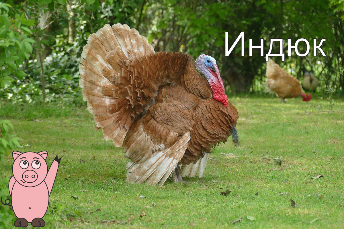 -1-2