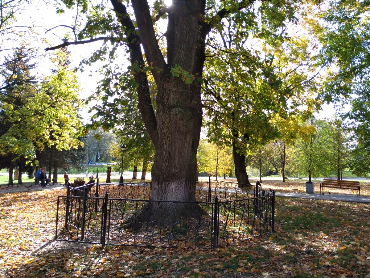 Александрово-Щапово. История усадьбы. Господский дом в русском стиле ...