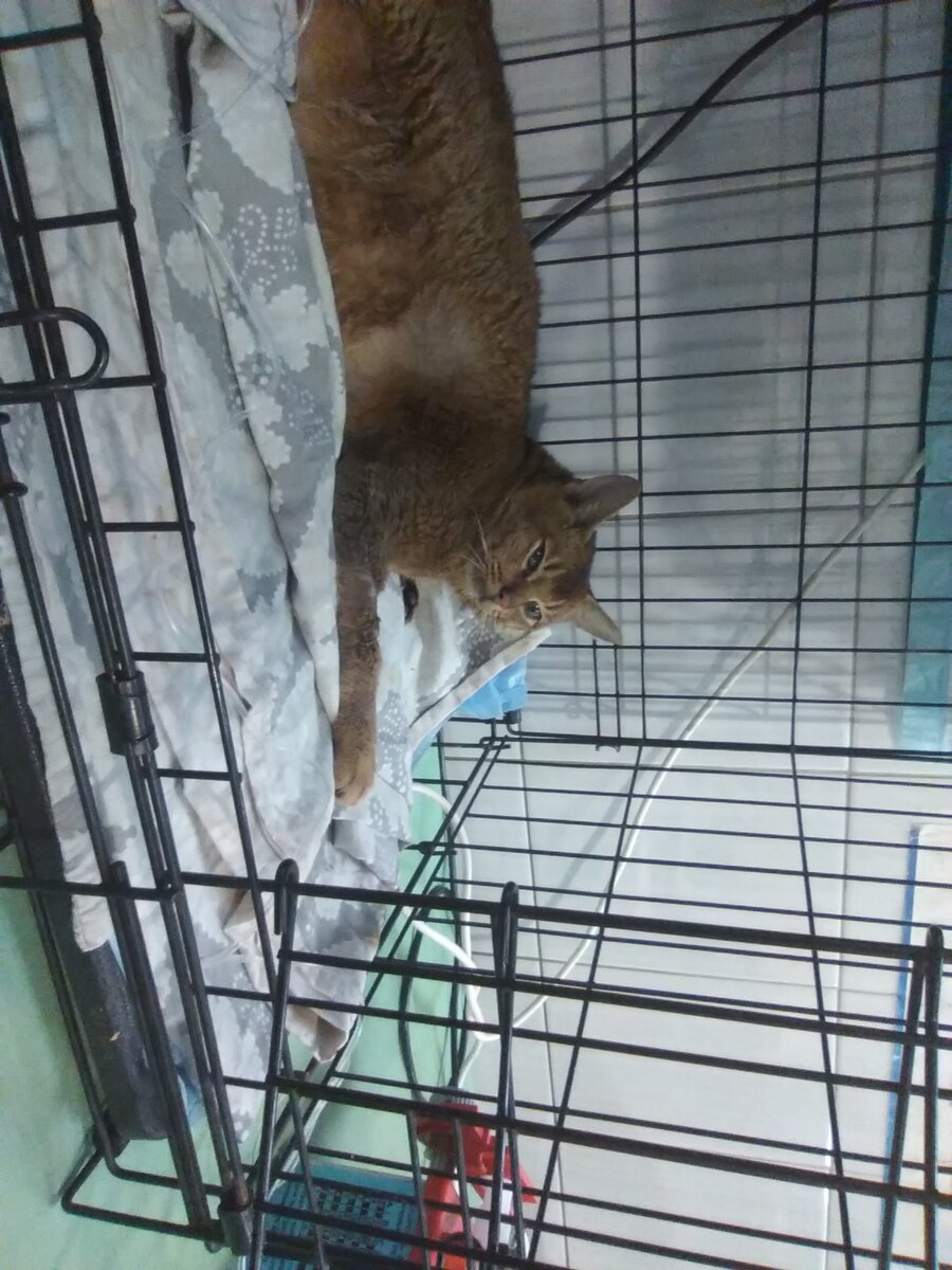 Прошу помощи🙏