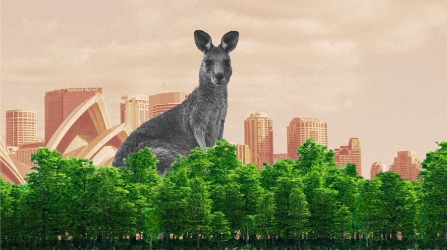 Иллюстрация Анны Сазановой