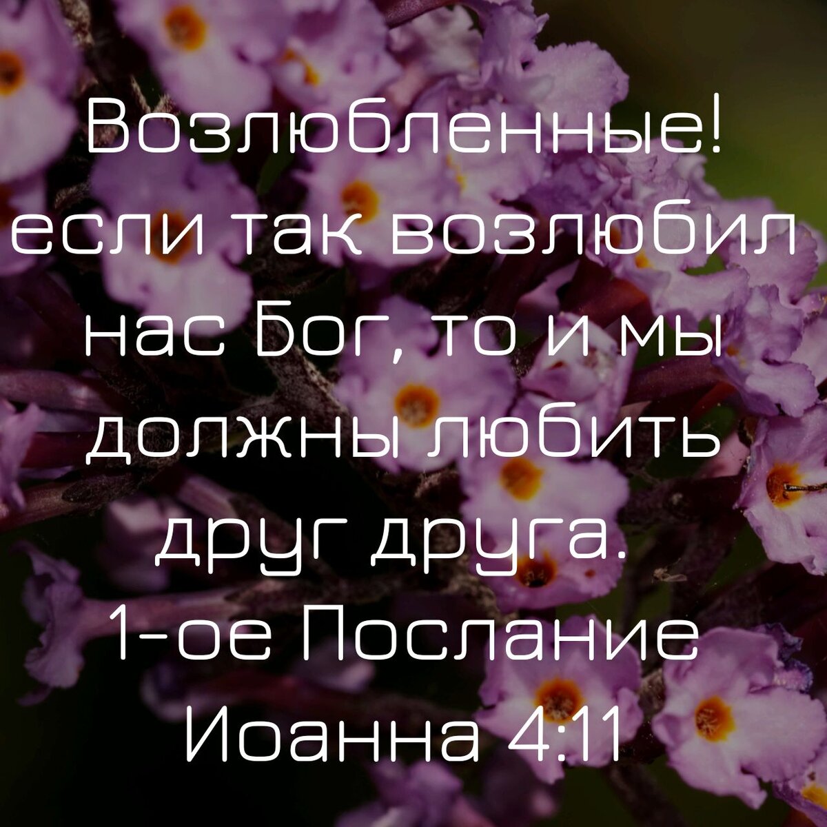 1-е Послание Иоанна 4:11 Изображение сделано с помощью приложения Библия (Youversion) https://play.google.com/store/apps/details?id=com.sirma.mobile.bible.android&hl=ru