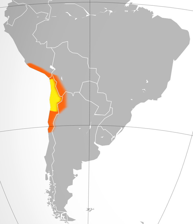 Пустыня Атакама. Далее – Сонора