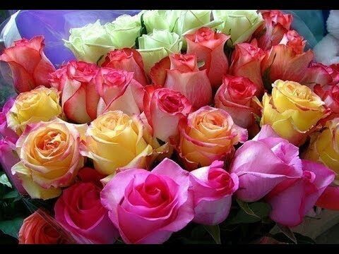 Роскошными цветами решается вопрос: что подарить девушке или женщине. 