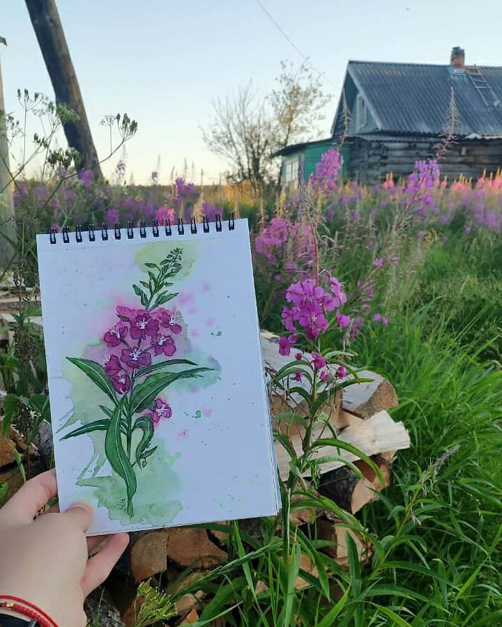 Рисунок автора