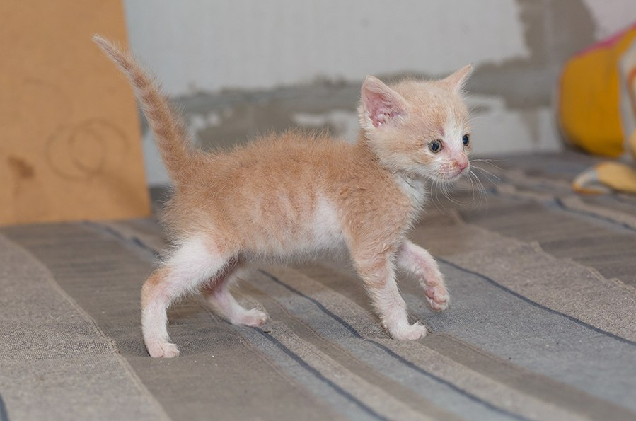 Фотография взята из свободного источника