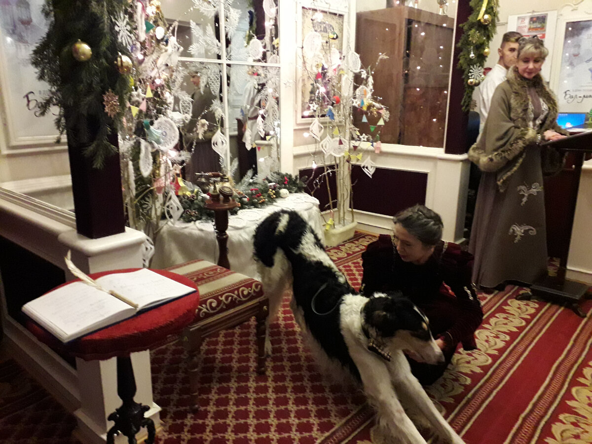 Гостей встречает Лучик. Фото автора.