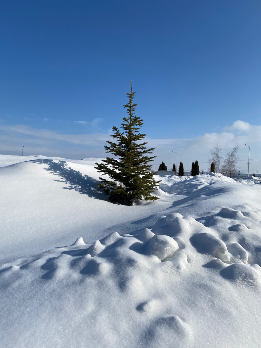 Один в поле не воин