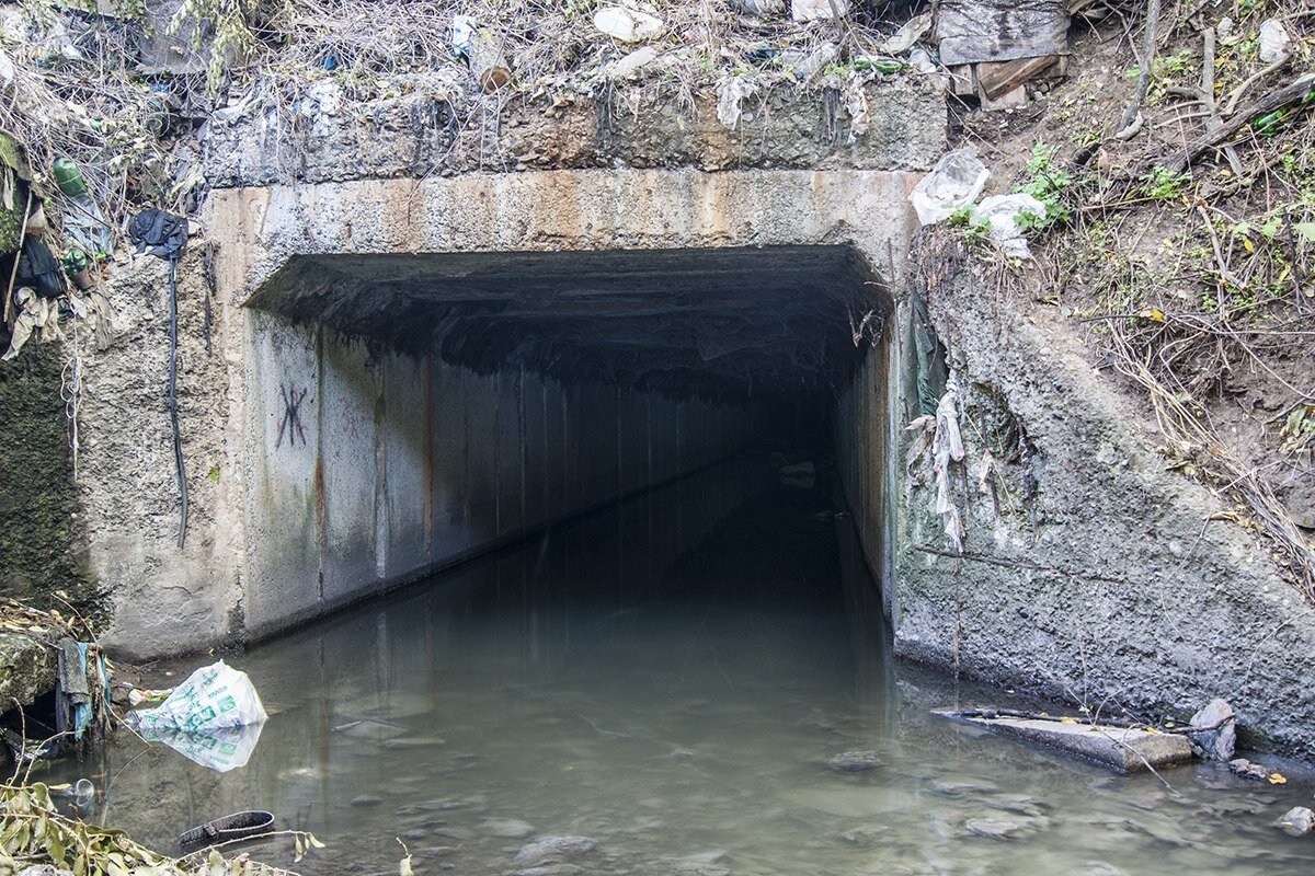 Источник Яндекс картинки.