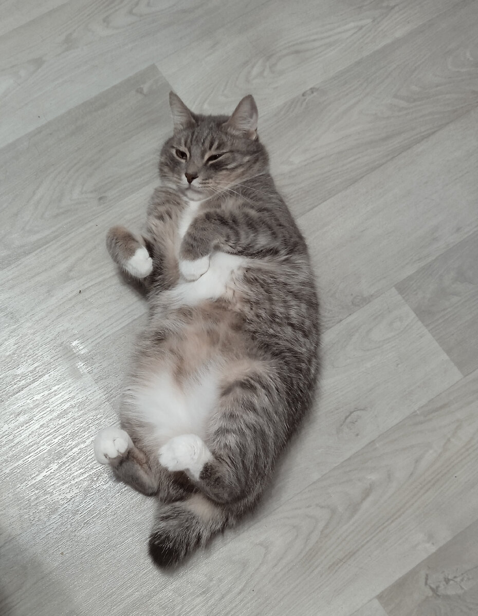 Сутуленький еще до болезни.