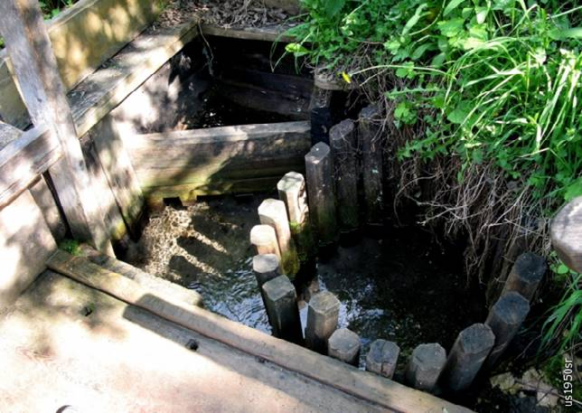 Источник Курловские дачи