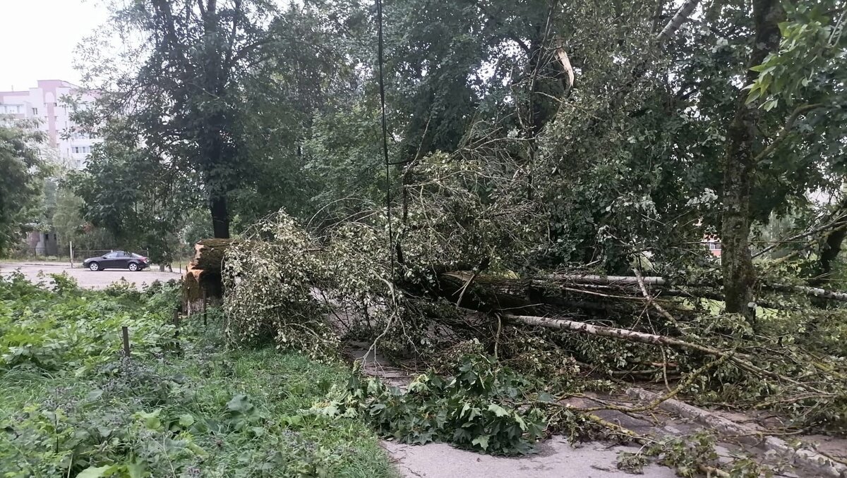     Во время урагана в Смоленской области трое детей, младшему из которых 1 год, получили травмы и были госпитализированы для медицинского осмотра. В регионе зарегистрировали 190 упавших деревьев, отключения электроснабжения в 18 муниципальных образованиях (ФОТО, ВИДЕО). Повреждены здания, автомобили.