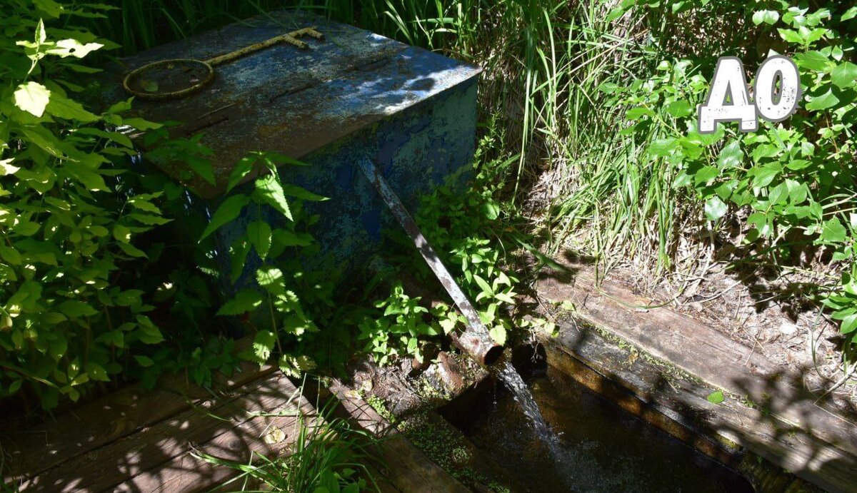  📷    В Переволоцком районе при участии Сбера благоустроены Урочище Золотой Ключ и родник Кристина Просвиркина