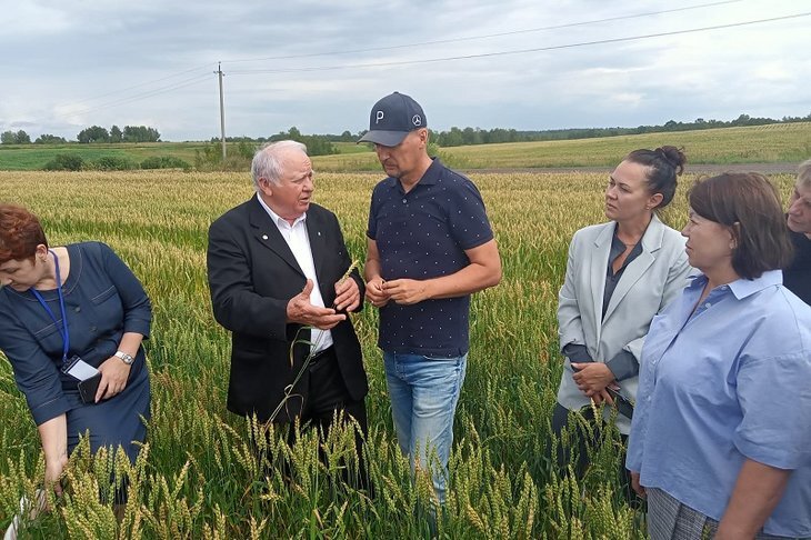    Председатель правления «Национальный агрохимический союз» оценил томский опыт зимнего известкования почв