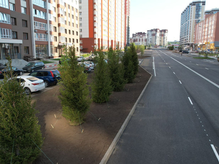 Фото: barnaul.org