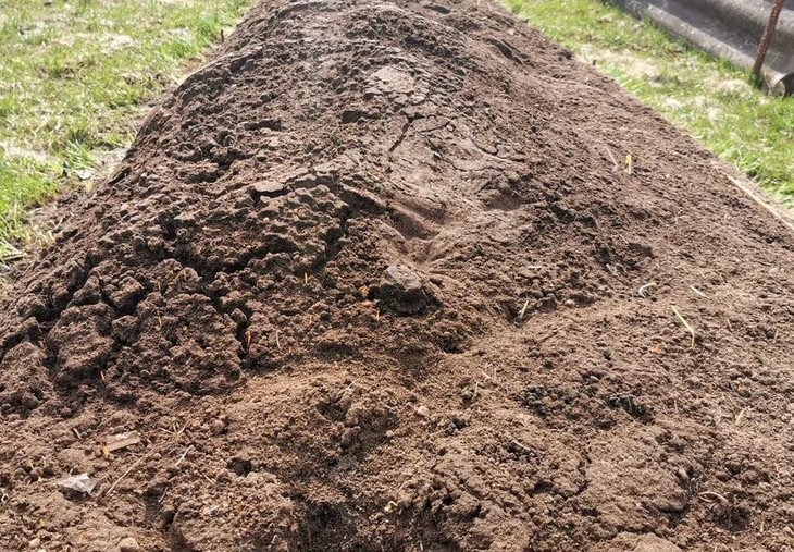    Подготовка грядки под озимый лук и когда нужно оживление севка