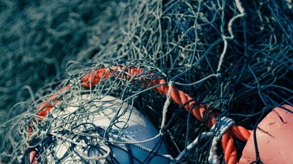    CC BY-SA 2.0 / Tony Webster / Fishing Nets - Peggys Cove
