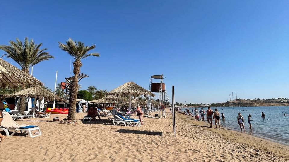 Отели Шарм-эль-Шейха, в которые я бронирую туристов заранее на зимний сезон, так как они находятся в самой безветренной и комфортной бухте