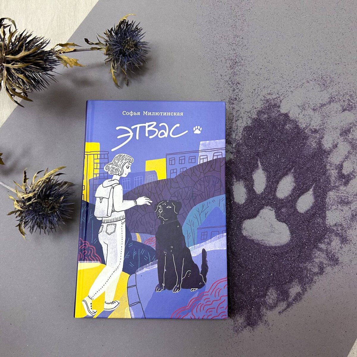 Для среднего и старшего школьного возраста