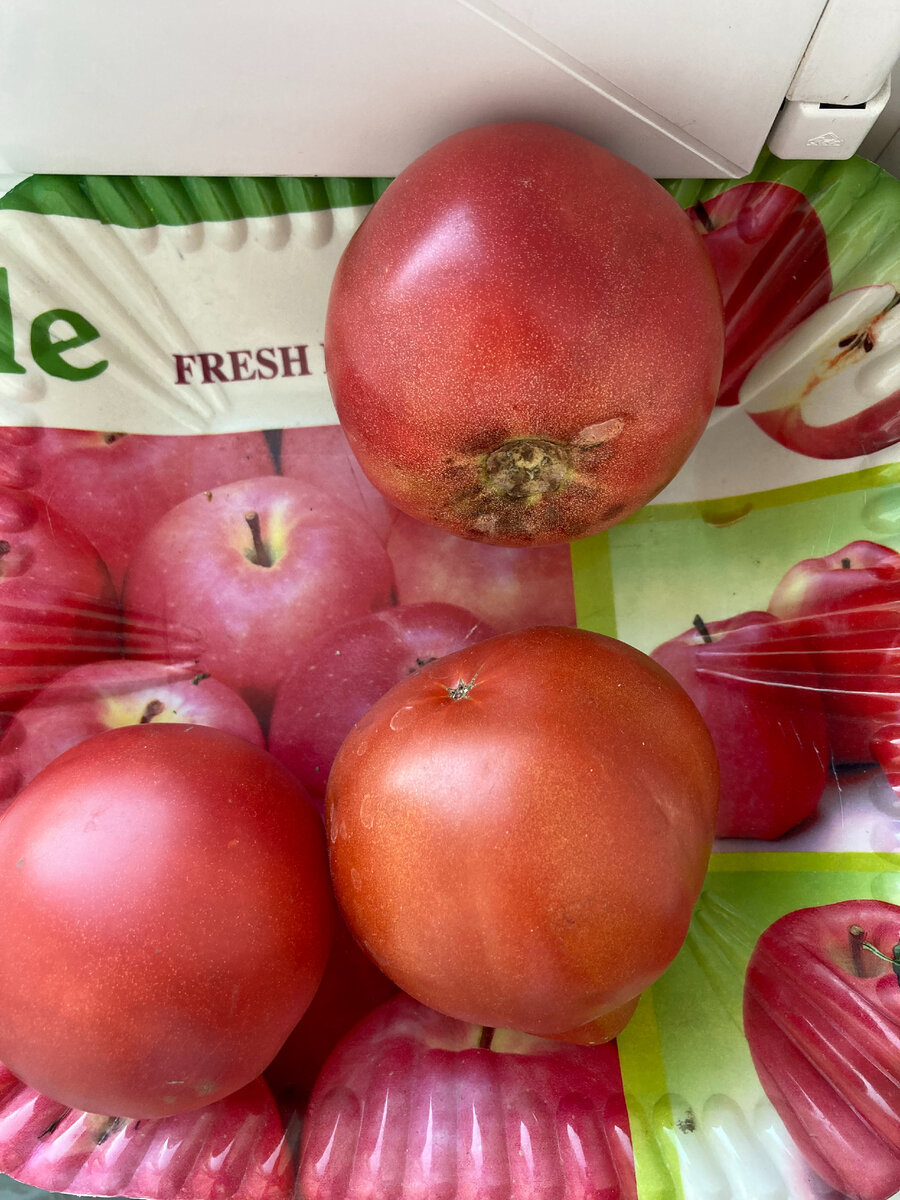 Фото для иллюстрации