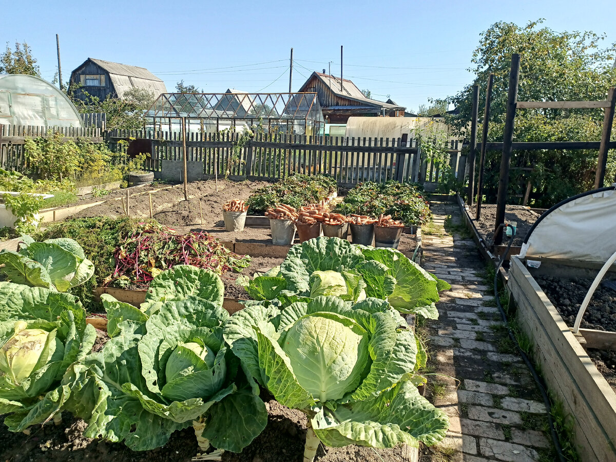 Старый забор. Тепличка под огурцы не достроена, руки не доходят пока 